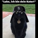 Thomas Janke - @janke582 - Instagram