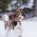 Thomas Jans - Facebook
