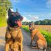 Thomas Janssen - Facebook