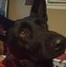 Tommy Jelks - Facebook