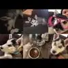 Jeremiah Thomas - @jeremiah.thomas672 - TikTok