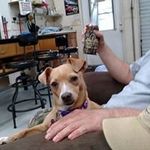 Thomas Yancy Jernigan - @tyjern - Instagram