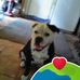 Tom Jernigan - Facebook