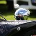 Thomas Jess - Facebook
