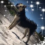 Thomas Jessen - @thomas.jessen.372 - Instagram