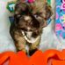 Thomas Jo - Facebook