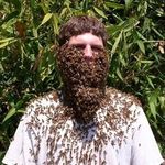 Thomas John McCall - @sierra_honey_farm - Instagram