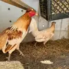 Thomas Johnson - @thomas.johnson684 - TikTok