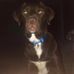 Thomas Judson - Facebook
