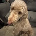 Thomas juelich - @thomas_juelich - Instagram