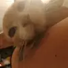 xdxdxdxdxdxdxdxdxd - @thomasjuega5 - TikTok
