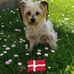 Thomas Junk - Facebook