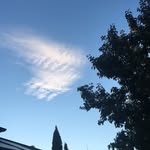 Thomas K - @thomaskalt_ - Instagram