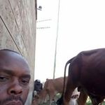 Thomas Kamau - @thomas.kamau.7359 - Instagram