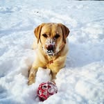 Thomas Kamper - @tom_ka234 - Instagram