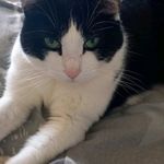 Thomas Kampmann - @kampmannthomas476 - Instagram