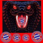 Thomas Kampmann - @kampmann_thomas - Instagram