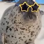 Thomas Kang - @tkang2218 - Instagram