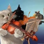 Thomaskantor - @scarlatti1685 - Instagram