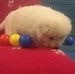 Thomas Kappler - Facebook