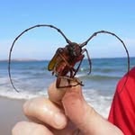 Thomas Kappler - @kappla79 - Instagram