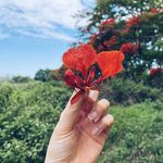 Thomas karlson - @thomaskarlson1899 - Instagram
