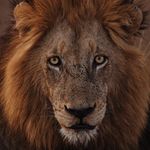 Christina + Thomas Karst - @karstretreats - Instagram