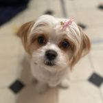 Kase Thomas - @kase_thomas_ - Instagram