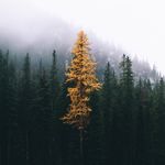 Thomas Kaser - @tomkasr - Instagram