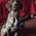 Thomas Kaseta - Facebook