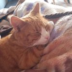 Thomas Kaspar - @thomas_31072005 - Instagram