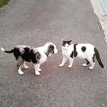 Thomas Kaspar - @thommy.kaspar - Instagram