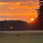 Thomas Kasper - @thomas.kasper.7227 - Instagram