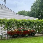 Thomas Kassai - @thomas_kassai - Instagram