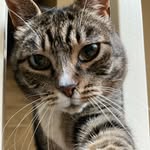 Thomas Athanasios Katsaros - @thomas_is_bored - Instagram