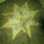 Thomas Katsaros - @katsaros.thomas - Instagram
