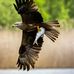 Thomas Ke - Facebook