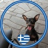 Θωμας Κεφαλας - @thomaskefalas0 - TikTok