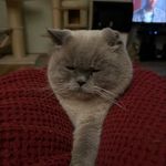 Thomas Keil - @thoke2805 - Instagram