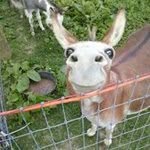 Thomas Kellar - @kellar.thomas12 - Instagram