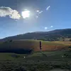 Thomas Mckeown - @.thomas_mckeown - TikTok