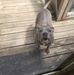 Thomas Ketcham - Facebook