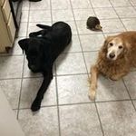 Thomas Ketcham - @ketchamthomas - Instagram