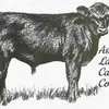 Askew Land & Cattle Co. - @thomasaskew - TikTok