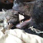 Thomas Killinger - @thomaskillinger - Instagram