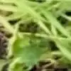 Kim_Thomas - @kime_thomas1962 - TikTok