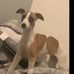 Thomas Kime - Facebook
