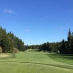 Thomas Kincaid - @golfyourballnatty - Instagram