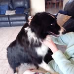 thomas kinghorn - @kinghorn.thomas - Instagram