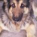Tommy Kinghorn - Facebook